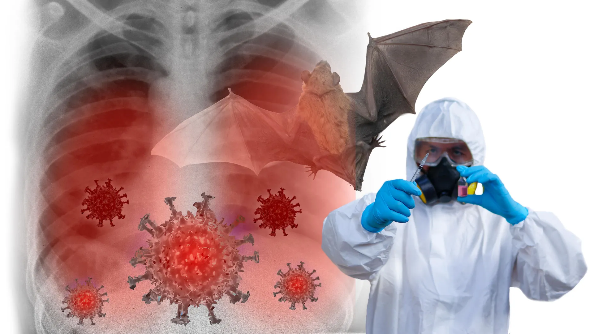 Wetenschappers waarschuwen voor het Bat -virus slechts één mutatie voor het infecteren van mensen