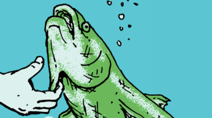Vaardigheid van de week: vang een vis met je blote handen