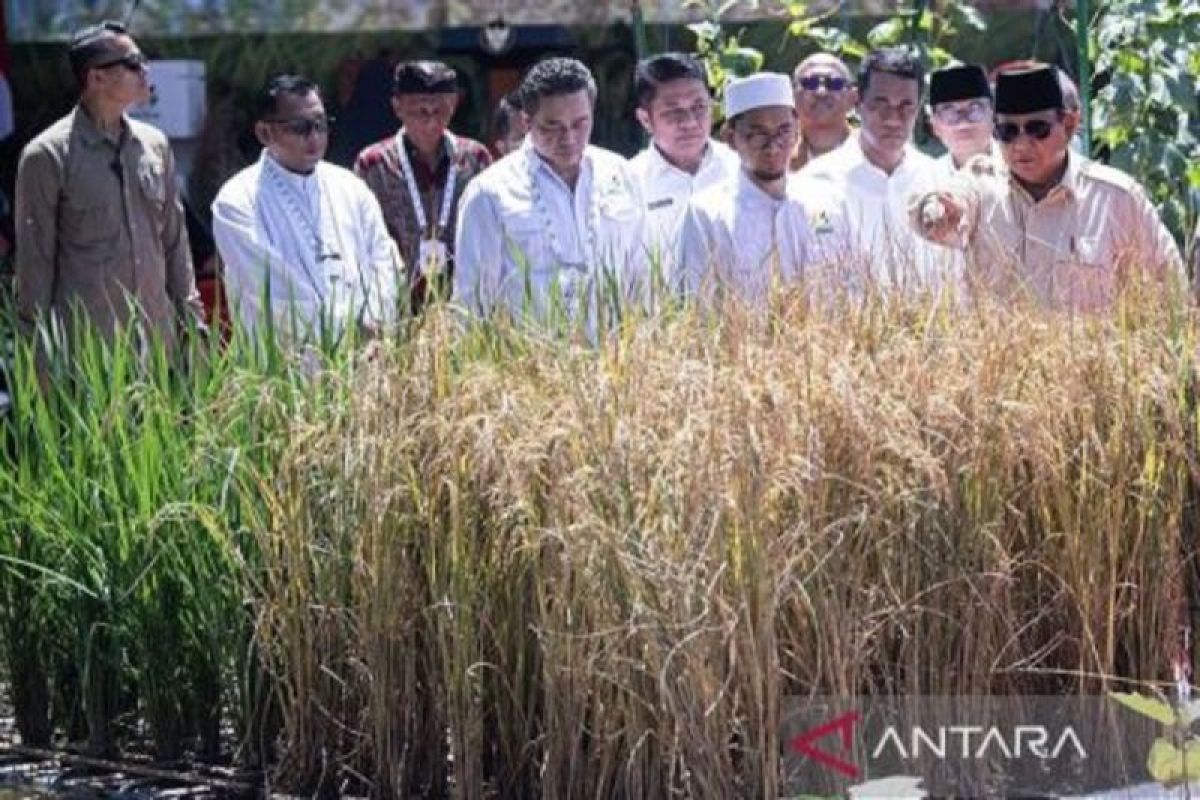 Prabowo Credits Deregulation, Reforms for Record Crop Winsten